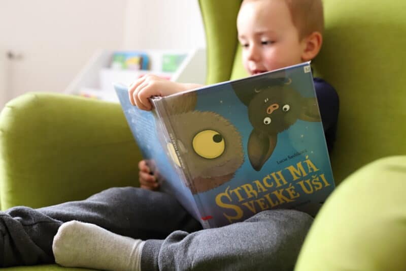 Strach má velké uši - Lucie Šavlíková